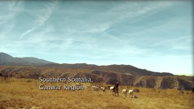 (goats bleating) - FlashForward