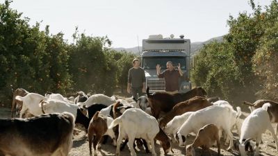 -Goats!
-[goats bleating] - The Last Man on Earth