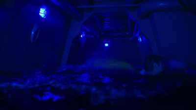 God damn it! God damn! - Deep Blue Sea 2