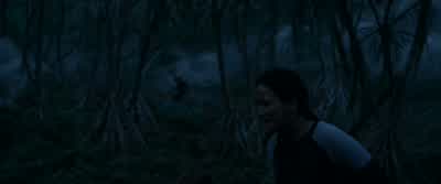God! God! Mags, please, please! Come on! Come on! Peeta. - The Hunger Games: Catching Fire
