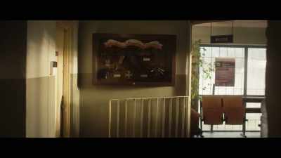 GOD, HONOR, HOMELAND - Nobody Sleeps in the Woods Tonight 2