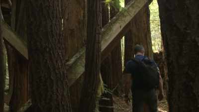 God, I keep hearing sounds
coming from that direction. - Expedition Bigfoot