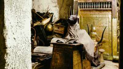 God, this is exhausting.
..of the 5,000-plus objects, - Tutankhamun: Secrets of the Tomb