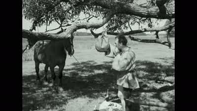 God morgon på dig. - The Seventh Seal