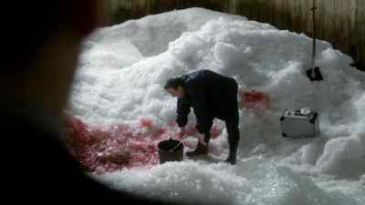 God only knows
what I'm supposed to do with this. - Wallander