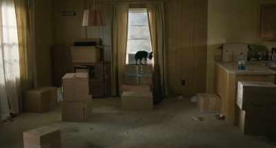 - Goddamn it!
- (barks) - Strays