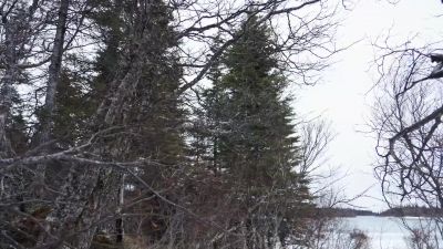 Damn it! - Life Below Zero: First Alaskans