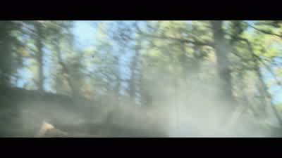 Goddamn motherfuckers! - Lone Survivor