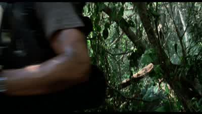 Goddamn. - Predator