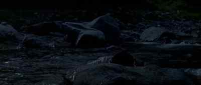 [Godzilla roaring] - King Kong vs  Godzilla