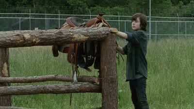 - Going to check the snares? - The Walking Dead