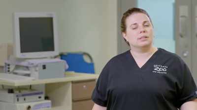 Going into these x-rays,
the worst-case scenario is - Secrets of the Zoo