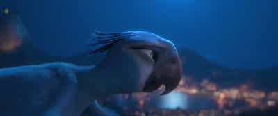 Going somewhere, pretty bird? - Rio