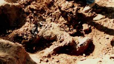 - Going through burn piles,
finding bones. - Manifesto of a Serial Killer