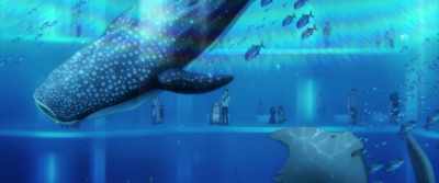 Gold and black mackerel stick to reefs. - Josee, the Tiger and the Fish