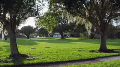 goldie-robinsons-neighbor - Buried In The Backyard