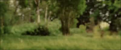 GOLLUM: They cursed us. - The Lord of the Rings: The Return of the King