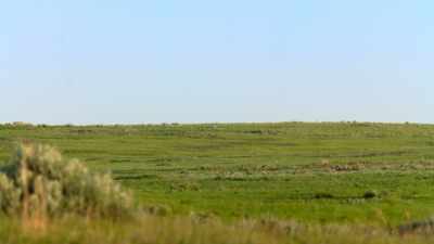 Gone into the next territory. - The American Buffalo