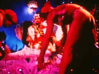 (Gong) - Pink Narcissus