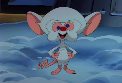[GONG] - Animaniacs