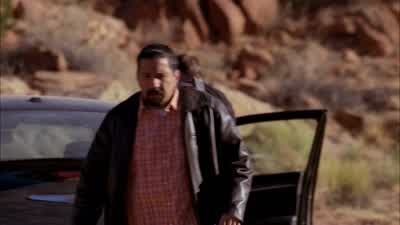 Gonna take him down for booking, okay? - Breaking Bad