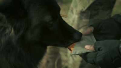 Good boy.
- [chuckles] - 68 Whiskey