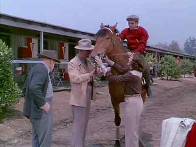 Good boy Good old Biscuit Get down Tom Lead him around once - The Story of Seabiscuit
