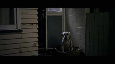 Good boy. I've got some biscuits. Yeah? - Minutes Past Midnight