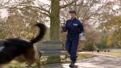 Good boy. - The Brokenwood Mysteries