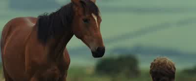 Good boy. - War Horse