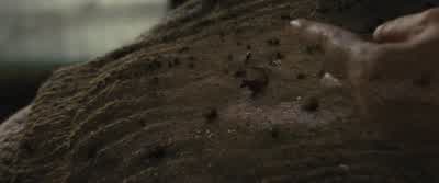 Good boy. - War Horse