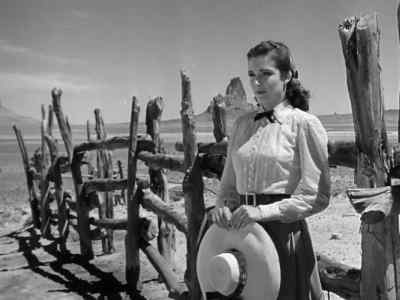 Good-bye, ma’am. - My Darling Clementine