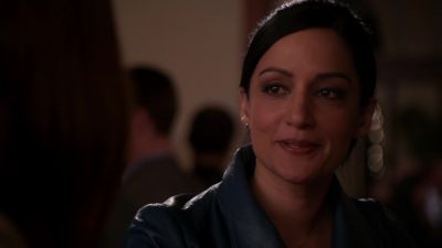 Good-bye. - The Good Wife