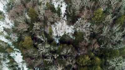 Good conditions there and back
without making any stops - The Disappearance of Maura Murray