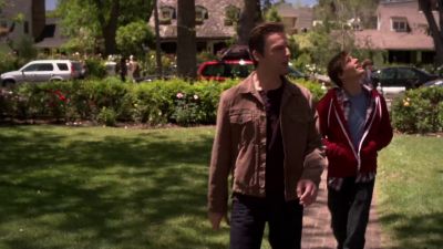 Good cover. - Weeds