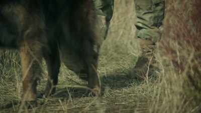 Good dog.
[chuckles] - 68 Whiskey