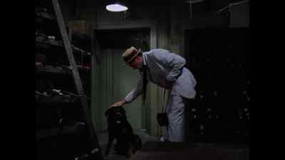 Good dog?
Nice doggy. - Kolchak: The Night Stalker