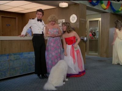 Good dog! - The Love Boat