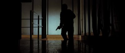 Good evening Herr Kolnas - Hannibal Rising