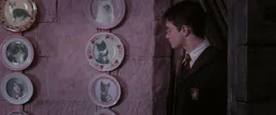 Good evening, Mr. - Harry Potter and the Order of the Phoenix