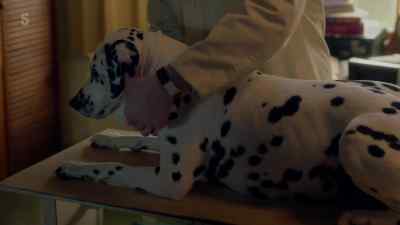 Good girl, that's it. - All Creatures Great and Small