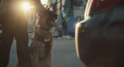 Good. Got drugs. - Muzzle