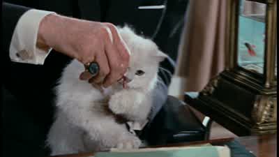 I shall put my plan into operation straight awayAnd there will be no failure - From Russia with Love