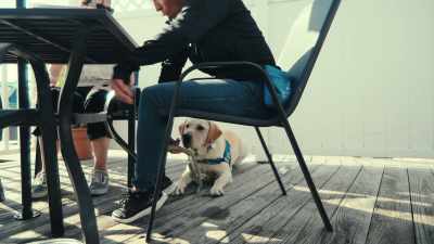 Good job, buddy. Good job, buddy. - Inside the Mind of a Dog