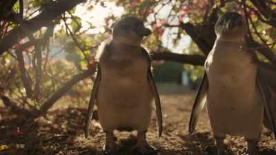 Good job, little sis. - Penguin Town