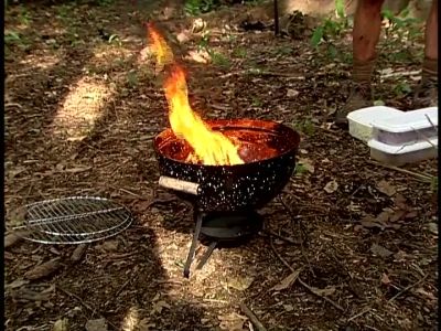Good job, Matteo. - Survivor