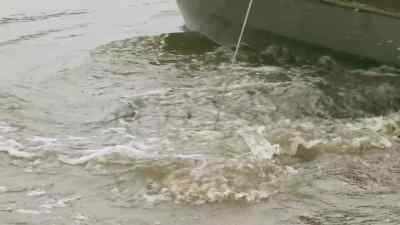 Good Lord have mercy,
that thing was pulling. - Swamp People
