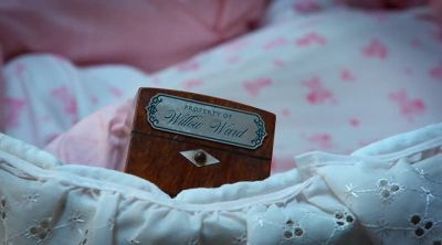 Good luck, baby Willa. - Scaredy Cats