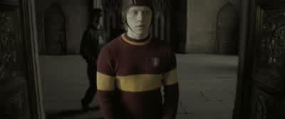 Good luck, eh, Ron. - Harry Potter and the Half Blood Prince