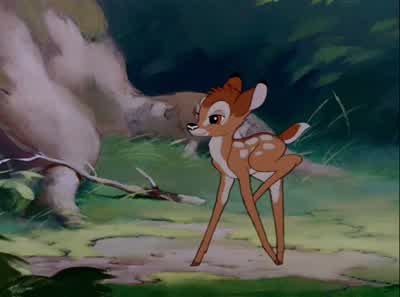 - Good morning, Bambi. - Bambi